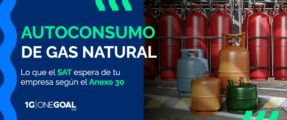 Autoconsumo de gas natural