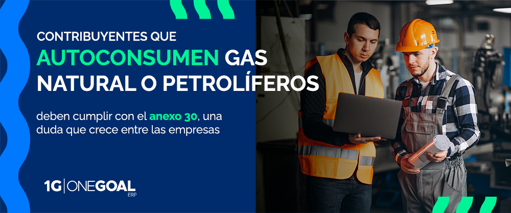 banner  autoconsumen Gas Natural o Petrolíferos deben cumplir con el anexo 30