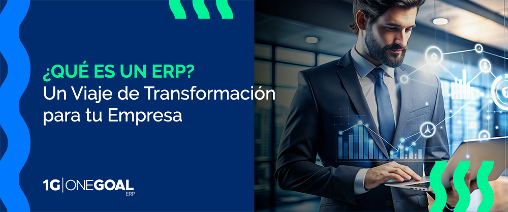 que es un erp, persona viendo dashboard o analisis de data