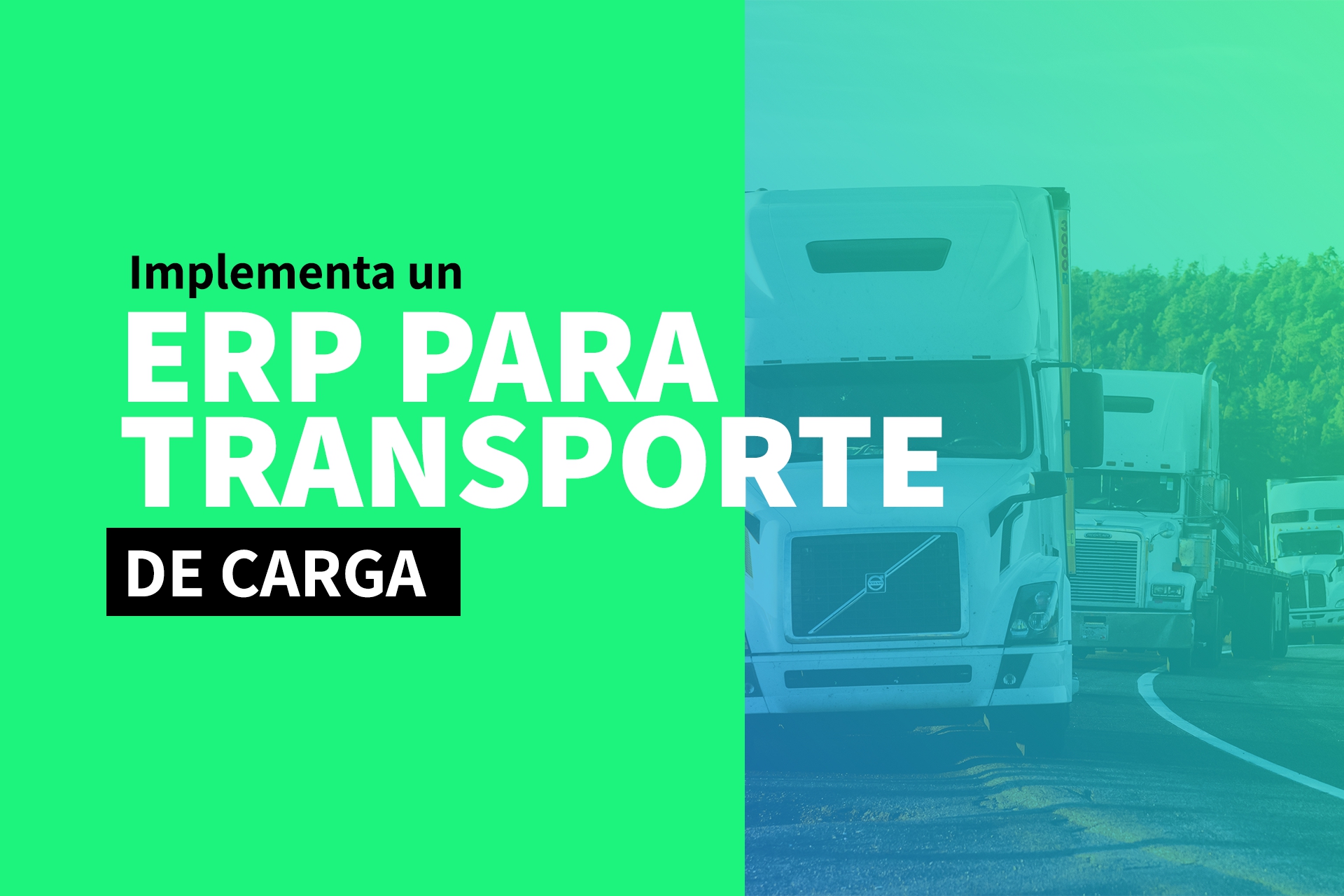 ERP para Transporte de Carga